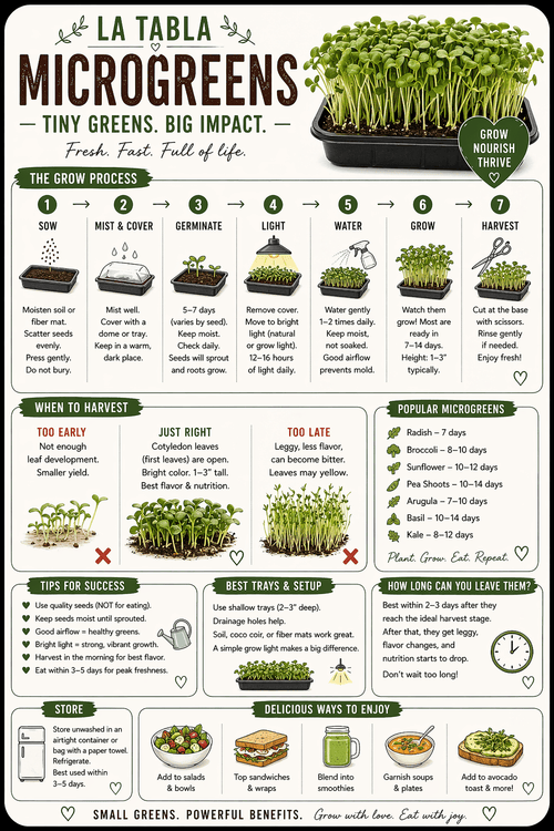 Beginner's Guide to Growing Microgreens at Home — Matte Print - La Tabla