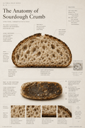 Field Notes Series: No. 01 — The Anatomy of Sourdough Crumb (Heritage Edition) — Digital Download - La Tabla