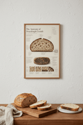 Field Notes Series: No. 01 — The Anatomy of Sourdough Crumb (Heritage Edition) — Matte Print - La Tabla
